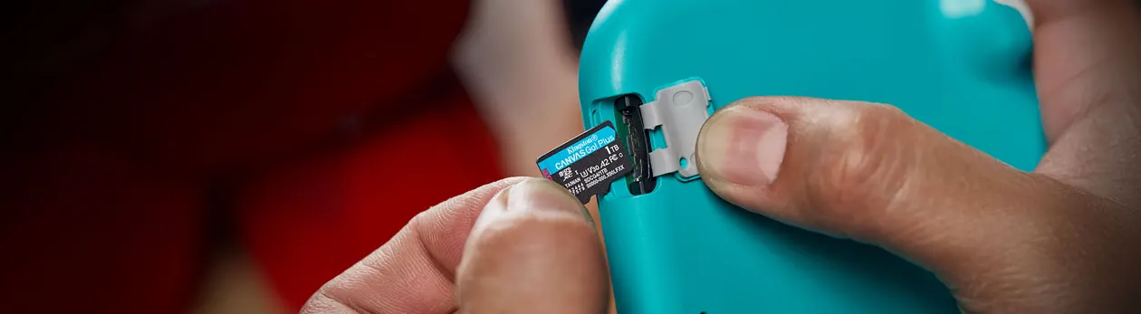 Kingston Canvas Go Plus microSD memory card SDCG4