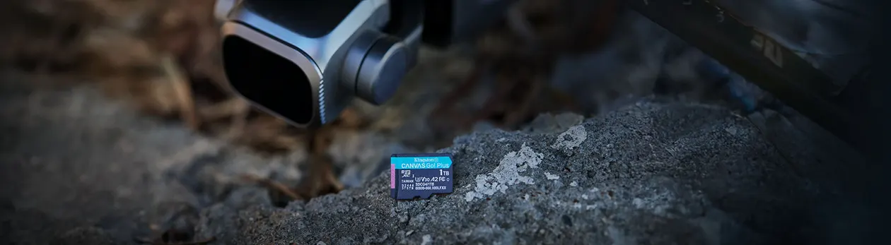 Kingston Canvas Go Plus microSD memory card SDCG4