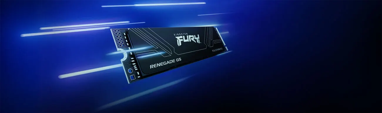 Kingston FURY Renegade