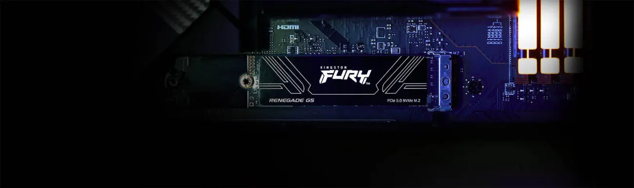 Kingston FURY Renegade