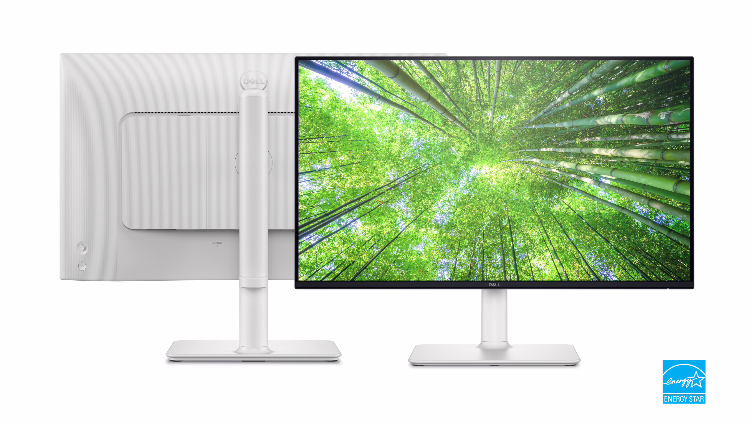 Dell S2425HS FHD