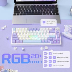 Ajazz Mechanical 75% Keyboard AK820 Sea Salt Switch, Blue And White And Purple Color, RGB Light-DIY - Image 9