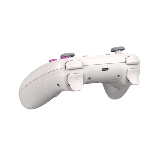 GameSir Nova HD Rumble NS Controller