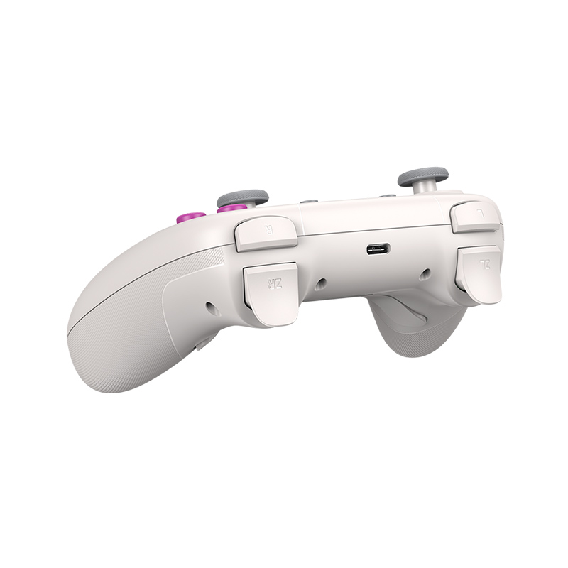 GameSir Nova HD Rumble NS Controller