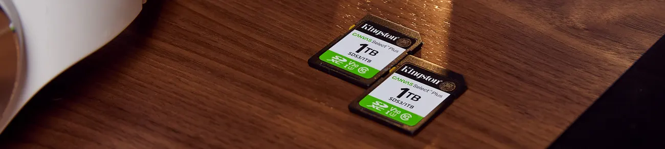 Kingston Canvas Select Plus SD Memory Card SDS3