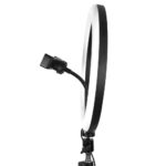Ring Light 10-inches DX-260