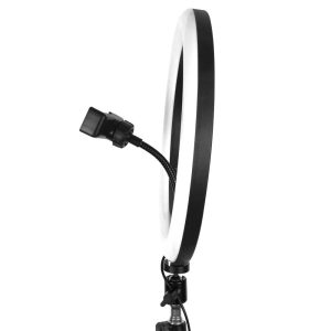 Ring Light 10-inches DX-260