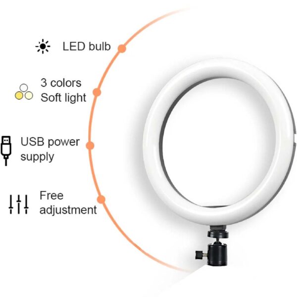 Ring Light 10-inches DX-260