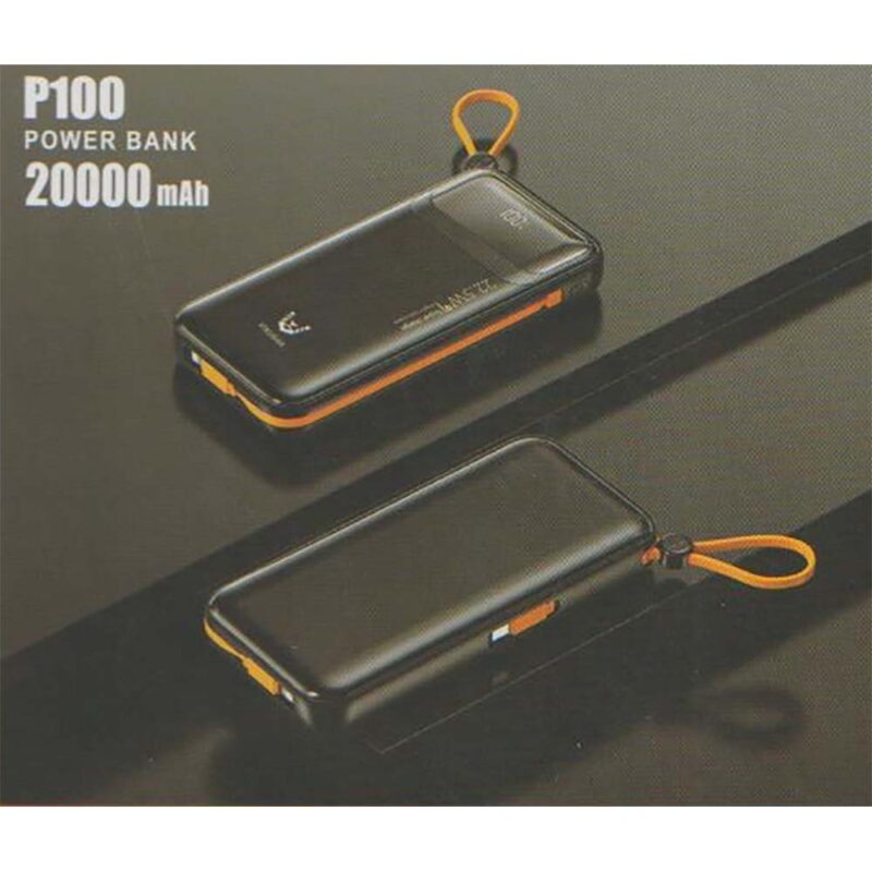 VIKUSHA P100 Power Bank