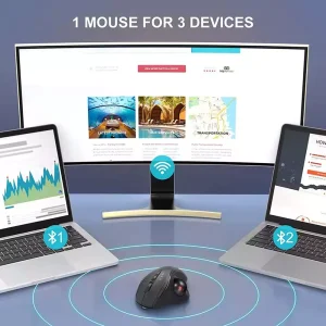 Proto Arc EM01 Mouse