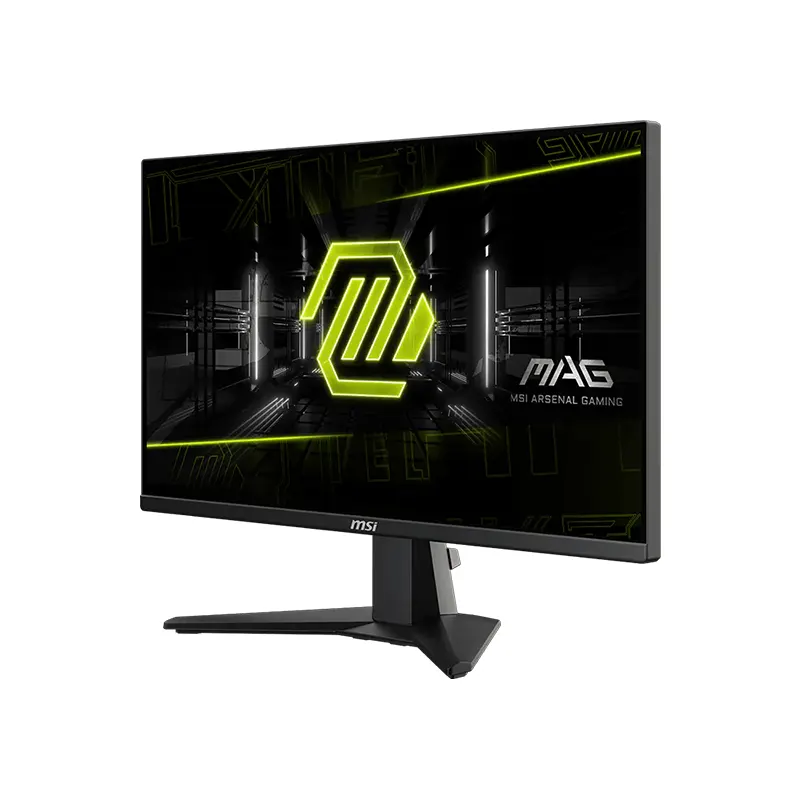 MSI Gaming Monitor 255F E20
