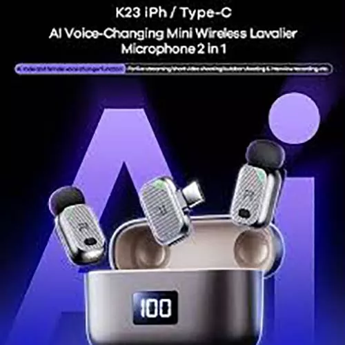 Mic Mic