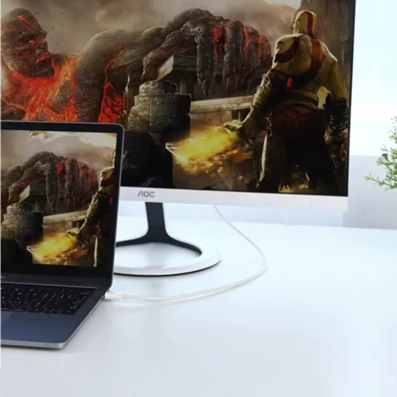 Ugreen USB C to DisplayPort Cable