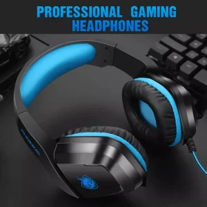 H1