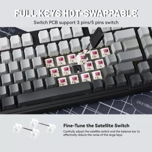 Compact Full-Size Layout Strawberry Switch