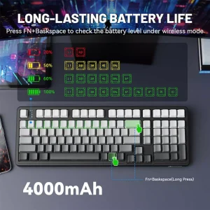 Compact Full-Size Layout Strawberry Switch