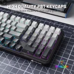 Compact Full-Size Layout Strawberry Switch