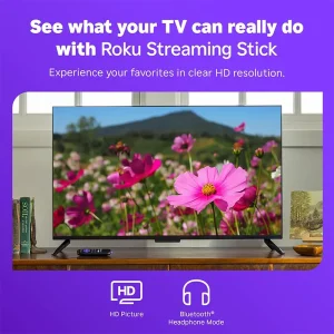 Roku Streamer TV HD 