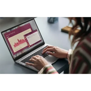 Dell Pro 14 Laptop